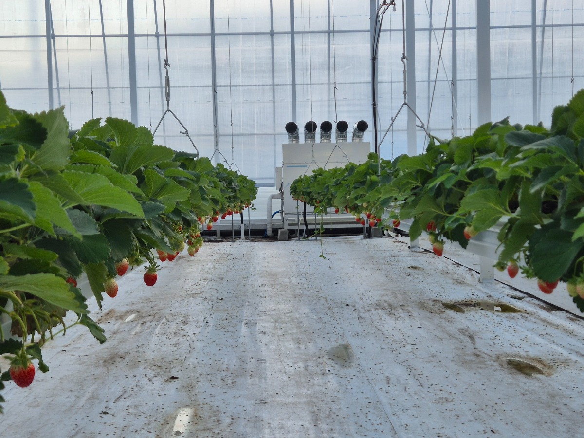 KakaoTalk_20260318_105342322