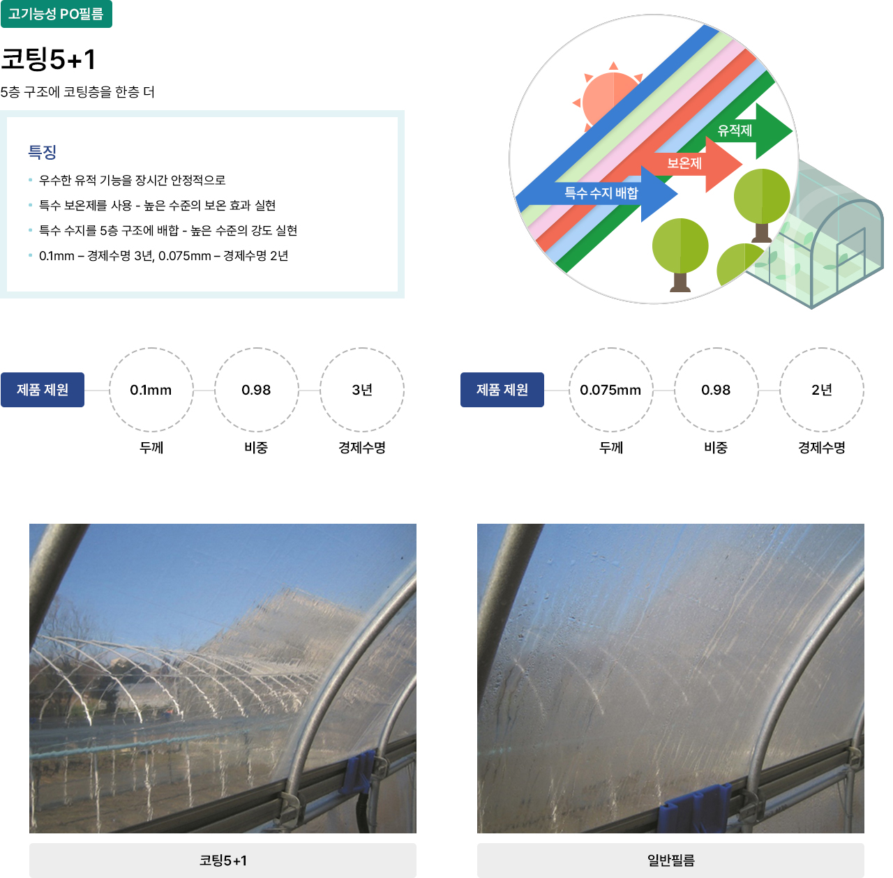 코팅5+1 컨텐츠